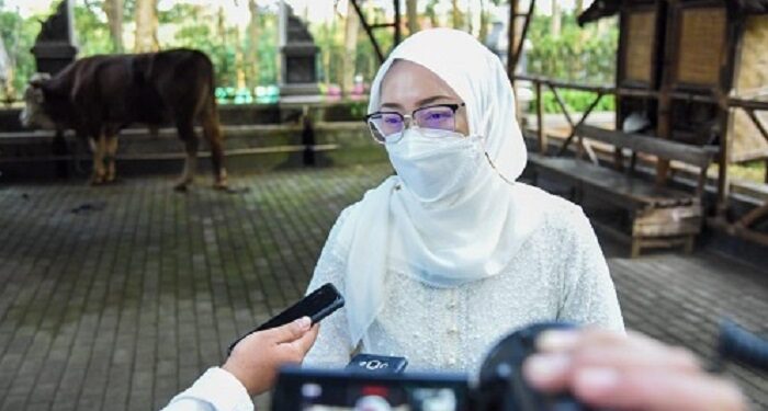 Purwakarta Nihil PMK, Bupati Sebar Petugas Pemeriksa Hewan Kurban