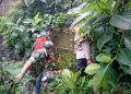 Baru Lahir, Bayi Perempuan Ditemukan Warga Bogor Tergeletak di Tumpukan Sampah