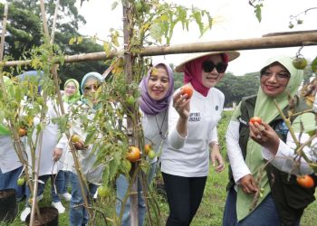Atalia Ajak Kader Tingkatkan Kapasitas dan Kekompakan