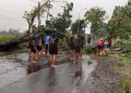 Pohon Tumbang, Arus Lalin Jalur Tasik-Manonjaya Terganggu