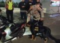Seorang Pemuda Tercium Anjing Pelacak Konsumsi Psikotropika Saat Nongkrong di Alun-alun Cimahi