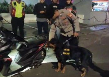 Seorang Pemuda Tercium Anjing Pelacak Konsumsi Psikotropika Saat Nongkrong di Alun-alun Cimahi
