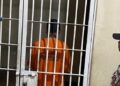 Kronologi Pembunuhan Wanita di Lembang Korban Dihantam Pakai Kayu Hingga Luka di Bagian Wajah