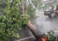 Hujan Deras Angin Kencang Terjang Cimahi, Banyak Pohon Tumbang dan Rumah Rusak