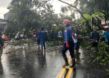 Hujan Angin Pohon Tumbang, 10 Rumah Warga Ciawi Tasikmalaya Rusak