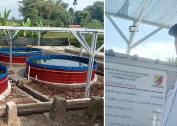 Desa Pasirhuni Alokasikan Ketahanan Pangan dari Dana Desa Untuk Peternakan Ikan Nila