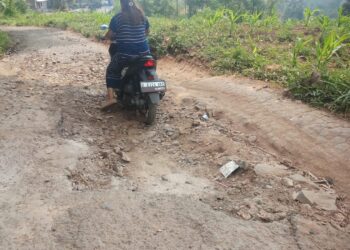 Warga dan Kades Keluhkan Jalan Kabupaten Rusak Parah